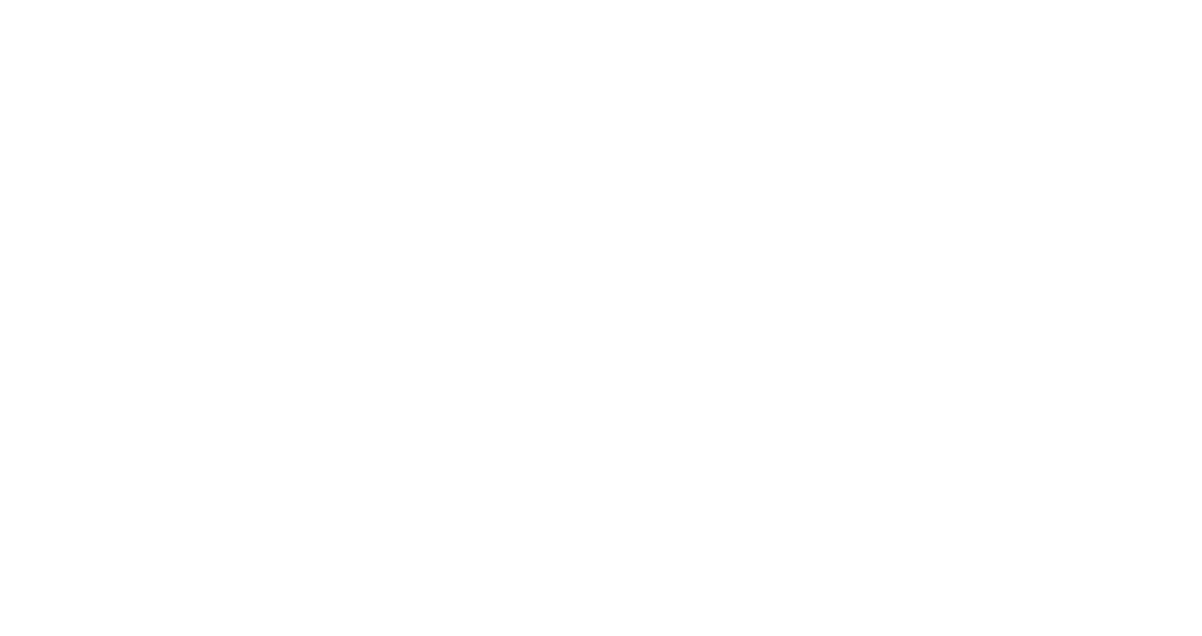Nearest Laundry Company Logo